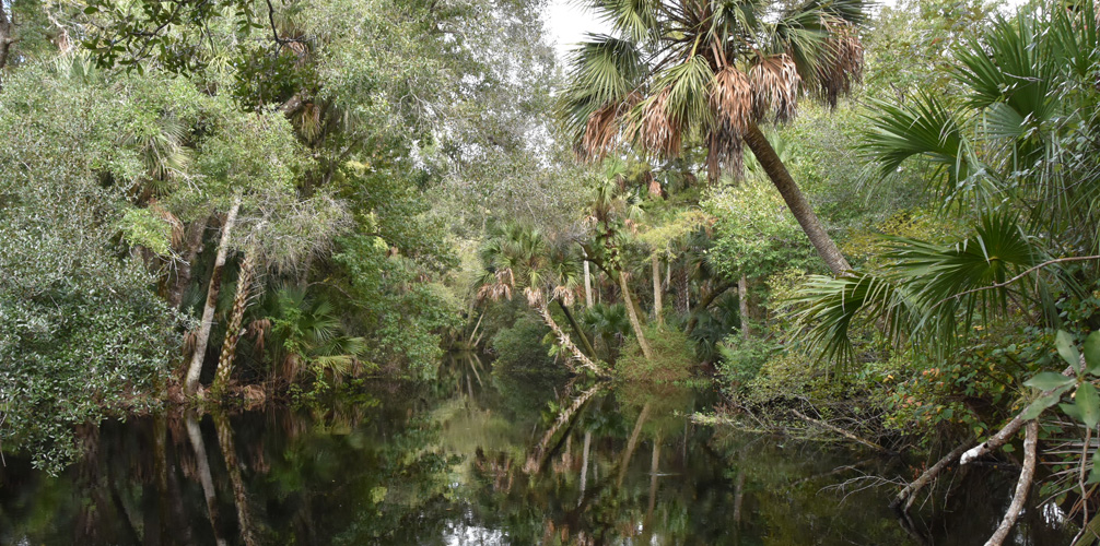 Seminole State Calendar Spring 2024 Bert Marina